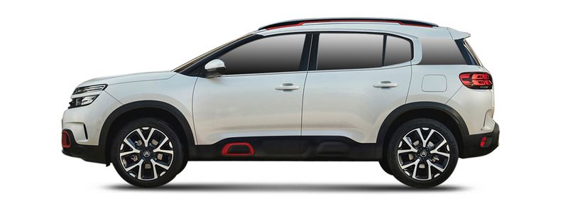 CITROËN C5 AIRCROSS Einspritzdusen
