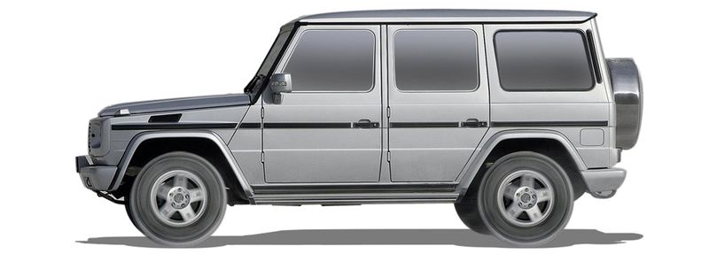 MERCEDES-BENZ G-KLASSE Einspritzdusen