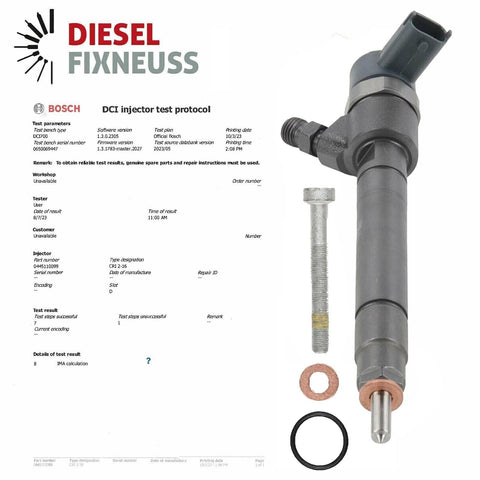 Einspritzdüse Injektor Injector Mercedes CDI 0445110099 A6110701387 A6110701787