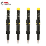 4x EINSPRITZDÜSE FORD MONDEO JAGUAR X TYPE 2.0 DIESEL Injektor EJDR00504Z