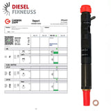 RENAULT DELPHI Einspritzdüse Injektor 28237259 28232234 EJBR05601D 166000897R